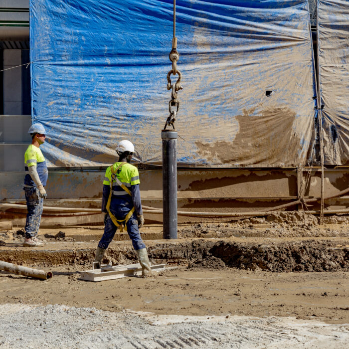 03 10 2024 80 (3) - perspectiva de pájaro