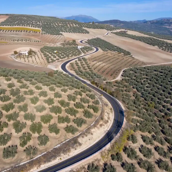 fotografía aérea de los campos olivos de Málaga